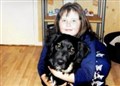 Elgin pup appeal gains momentum