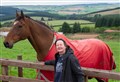 Moray horse sanctuary to open gates for Christmas Show