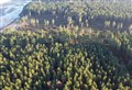 Efforts under way to help forests withstand future storms