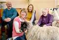 PICTURES: ‘Exceptionally good’ sheep visits Elgin Care Home