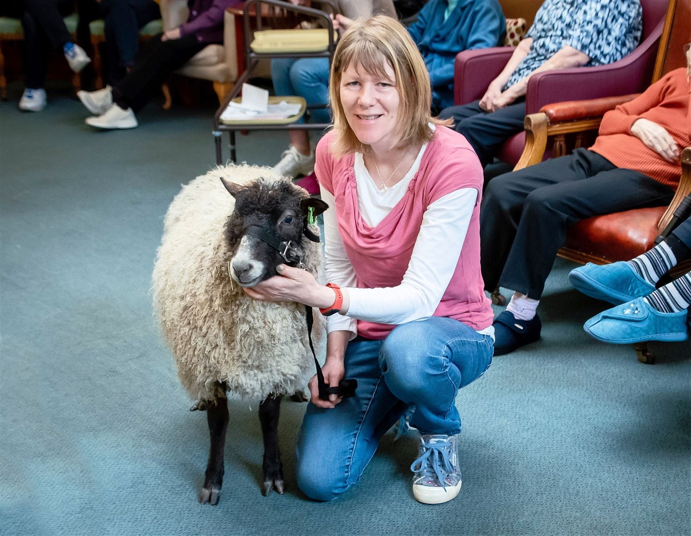 Sharon Hurford and Shetland sheep Ella visit Anderson's Care Home.