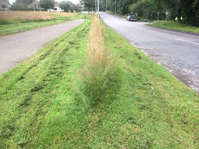 A grass verge on Elgin's Morriston Road