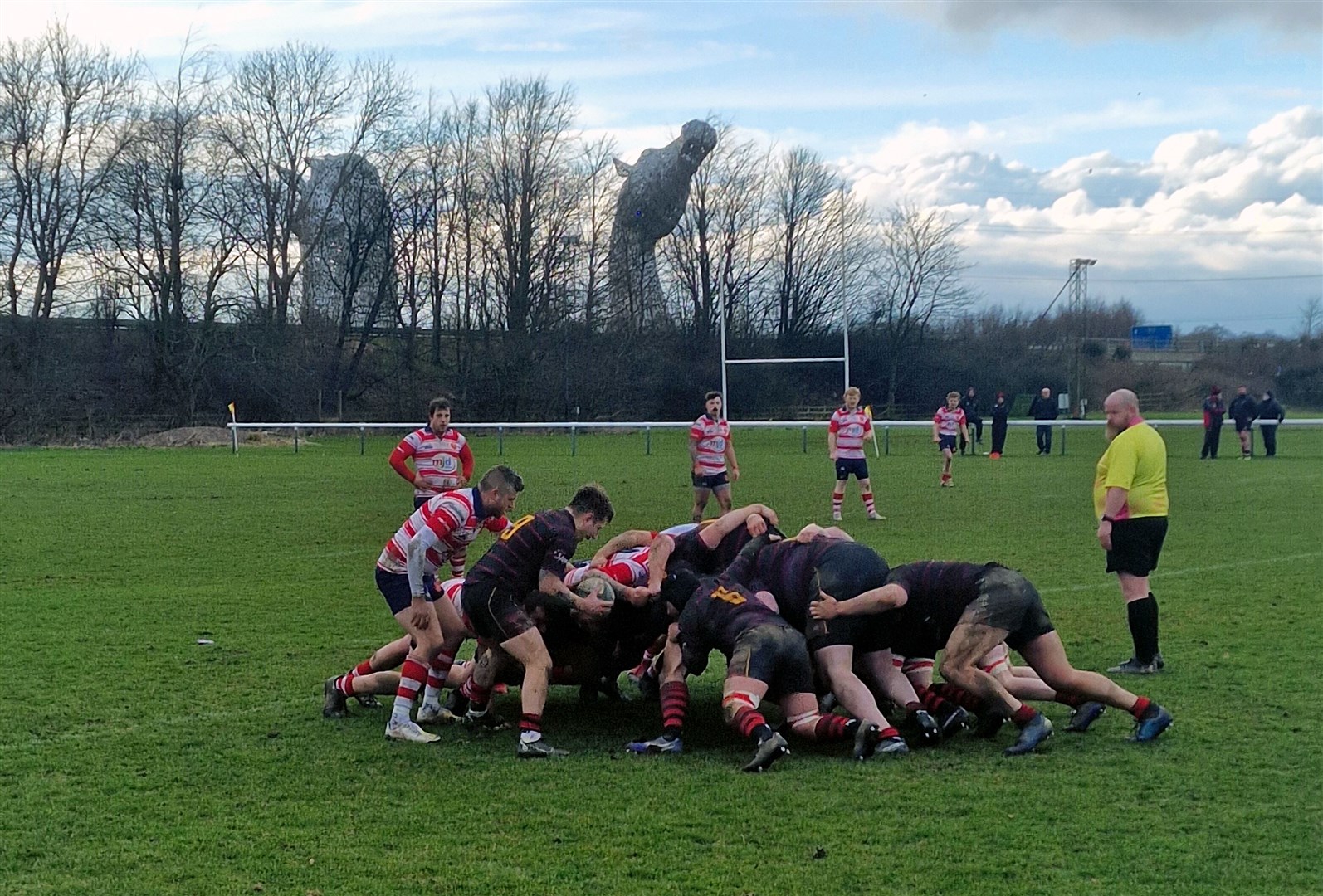 Scrum with Kelpies looking on in background. Picture: Grant Mitchell