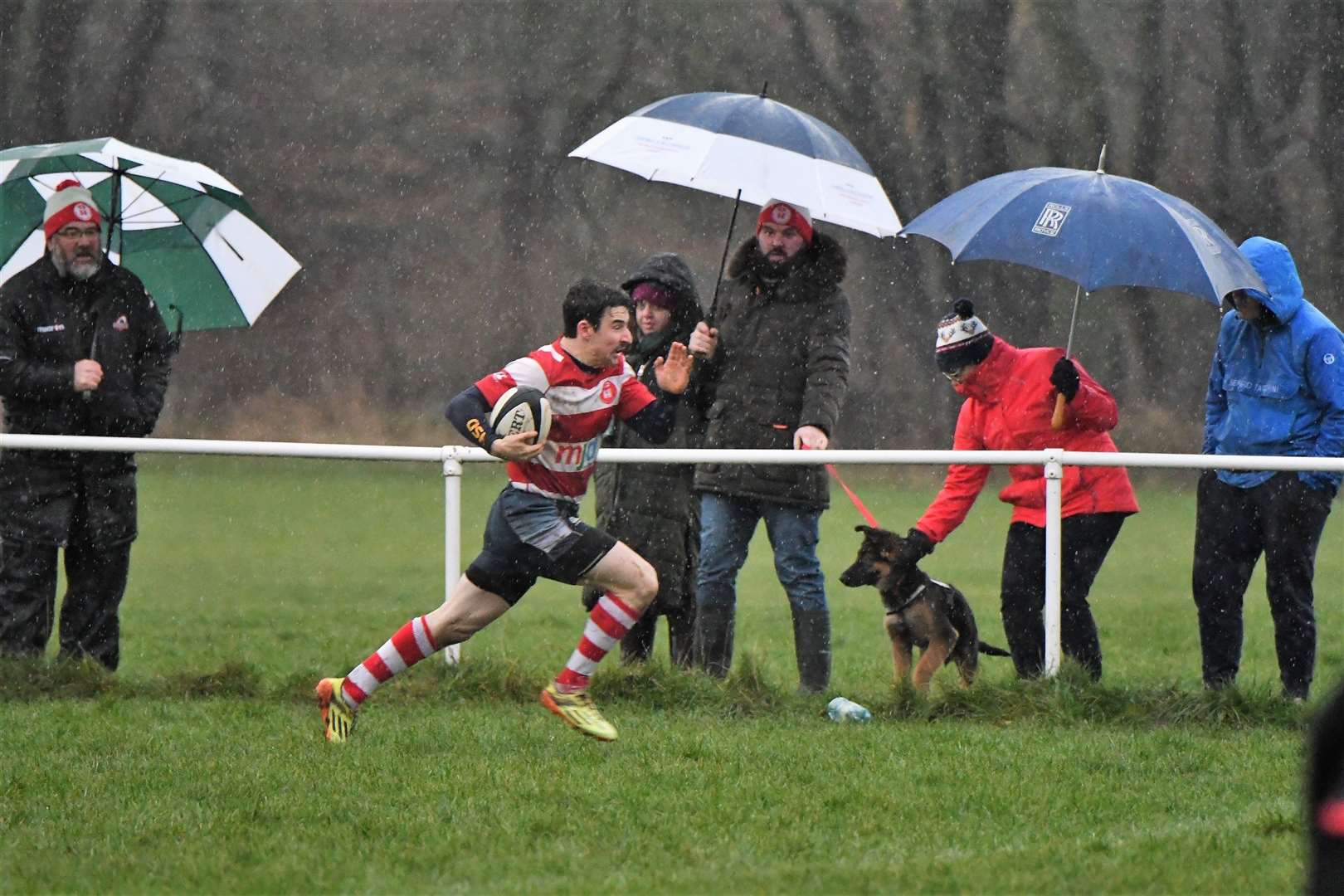 Calum Archibald makes great break from his own 22 metre line. Photo: James Officer.