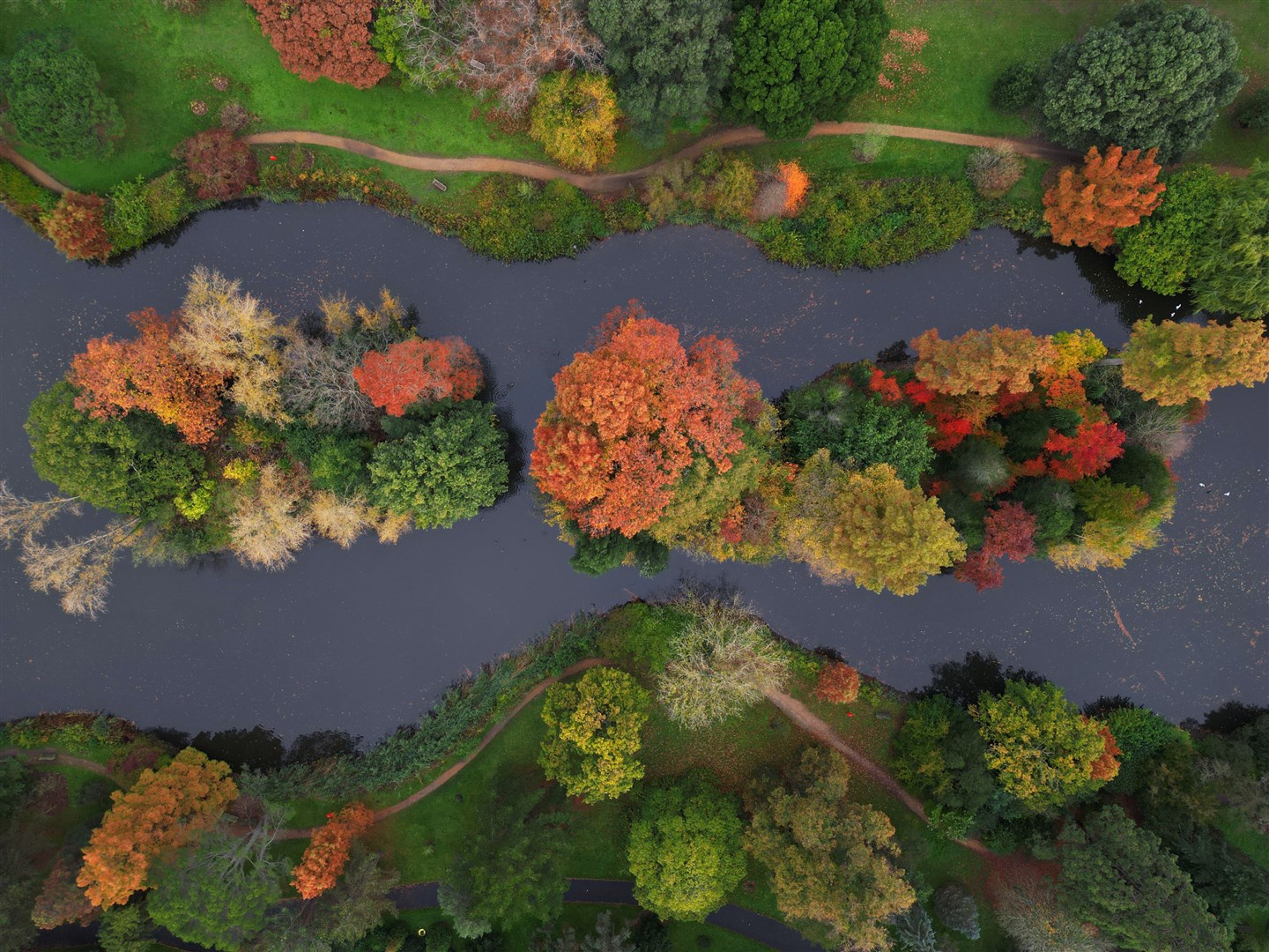 Autumn colours on display at the Royal Botanic Gardens in Kew in October (Yui Mok/PA)