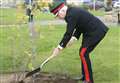 Rowan tree from Buckingham Palace planted in Lossiemouth
