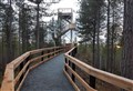 Culbin Forest viewing tower has reopened