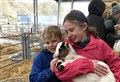 Charity enables north-east young people with sensory loss to enjoy farm visit
