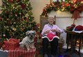 Moray resident puts hand-knitted dog jumpers up for sale at festive fayre 