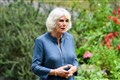 Camilla praises ‘game changing’ trial training dogs to detect Covid-19