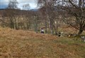 Moravian Orienteers find their way to podium positions at Scottish League meeting