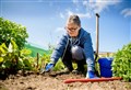 People with gardens 'have fared better mentally through pandemic'
