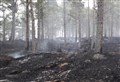 Culbin fires covered area the size of 28 football pitches