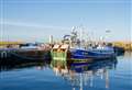 Very quiet week on the fish landings front at Buckie Harbour