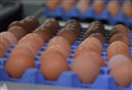 Farming: MP raises fears new UK trade agreement will allow sub-standard egg imports