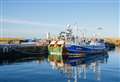 Fish landings at Buckie Harbour on the increase after spell of bad weather