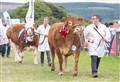 Big weekend at Keith Country Show draws near