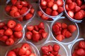 Farmers left with glut of strawberries and cherries after heatwave growth spurt
