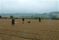 Hare coursing call from Police Scotland