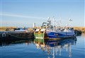 Quiet week on fish landings front at Buckie Harbour