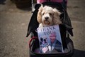 Paul O’Grady’s love of dogs celebrated with canine welcoming party at funeral