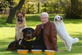 Paul O’Grady put Battersea Dogs and Cats Home on the map, charity CEO says