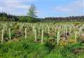 Tree planting sites approved by Moray councillors
