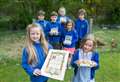 Eggs-tra special effort by pupils for wounded soldiers 100 years ago