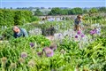 Gardening and moderate physical activities ‘may cut depression risk by 23%’