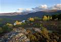 Four weeks left for public to have say on future of Cairngorms National Park