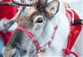 WATCH: Elgin BID Christmas lights sees Santa and reindeer return