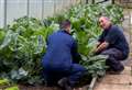 Community service garden project helps feed Moray families