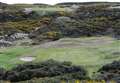 Golfing rarity at Hopeman as albatross lands