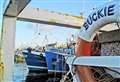 Buckie Harbour fish landings round-up