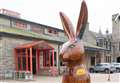'Hare-brained' scheme sees Big Hop bunnies come to Moray for Clan Cancer Support