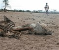 Moray aids East African drought appeal