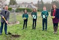 Moray schools' tree planting marks Queen's Platinum Jubilee