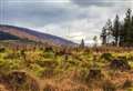 Major report shows Scotland’s changing rural land market