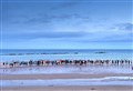 Sunrise swimmers shore up Moray Rape Crisis