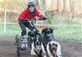 ‘My dogs saved my life’ says Moray's British champion sled dog racer Ashleigh Dean