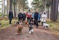 Moray dog lovers step out en masse in stand against puppy farms