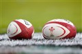Welsh Rugby Union accused of ‘toxic culture’ of sexism by ex-employees