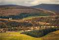 Cairngorms digital trails guide launched for Wee Walks Week 
