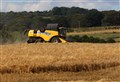 Farming: Stop/Start harvest sees a wide range in yields and quality