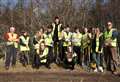 Dava Way crew plant 350 trees