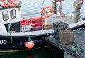 Quiet spell continues for fish landings at Buckie Harbour