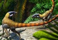 Scientific study reveals Triassic fossil from Elgin Reptiles