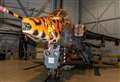PICTURES: RAF Lossiemouth welcomes big cat-painted fighter jet Spotty