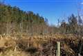 View sought on Moray tree planting sites 