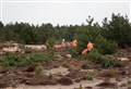 Army helps clear gorse at Findhorn